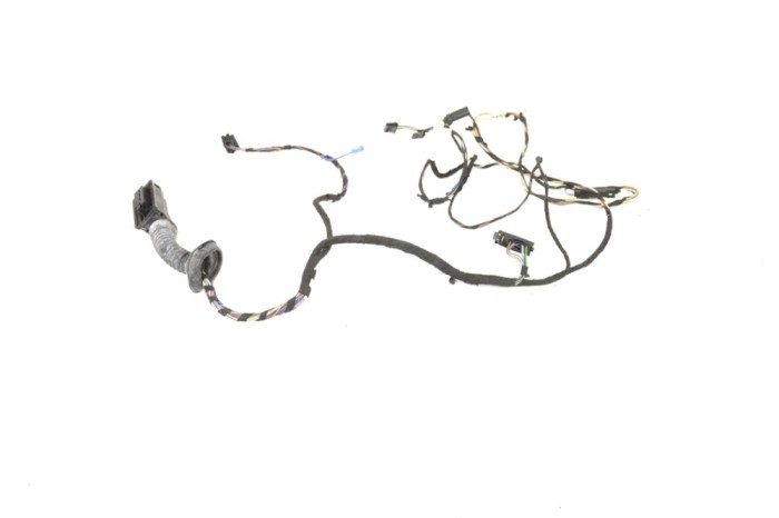 Cablaj ușă dreapta față BMW 3 F30, F80 2012 OEM: 9259995 12147021