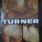 TURNER, ALBUM DE PICTURA-VASILE NICOLESCU-217432