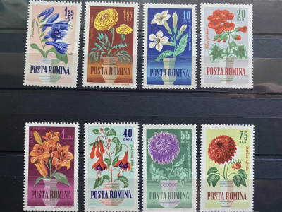 ROMANIA 1964 LP 581 FLORI DE GRADINA SERIE MNH foto