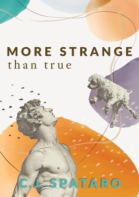 More Strange Than True foto