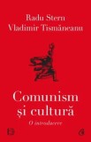 Comunism si cultura. O introducere/Radu Stern, Vladimir Tismaneanu