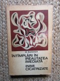 Intamplari in Irealitatea imediata, Inimi cicatrizate , M. Blecher , 1970