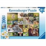 Cumpara ieftin Puzzle Pui De Animale, 200 Piese, Ravensburger