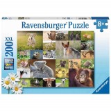 Cumpara ieftin Puzzle Pui De Animale, 200 Piese, Ravensburger