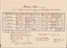 HST A815 Orar școlar oficial 1879 școala Tomnatic Timiș Banat