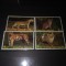 TIMBRE THAILANDA FAUNA 1998