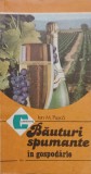 BAUTURI SPUMANTE IN GOSPODARIE-ION M. PUSCA-266518