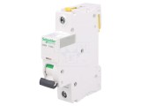 &Icirc;ntrerupător Supracurent 230V 20A 1P D