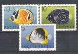 Poland 1967 Fishes, used A.82
