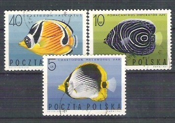 Poland 1967 Fishes, used A.82 foto