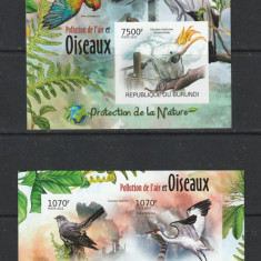 Burundi 2012 - Poluare si Pasari S/S 1v + M/S 1v NEDANTELATE MNH