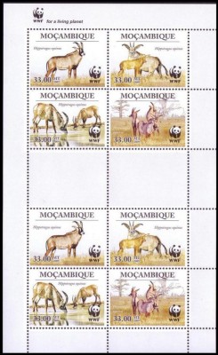 MOZAMBIC 2010 WWF FAUNA PROTEJATA ANTILOPE foto