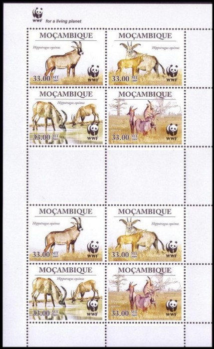 MOZAMBIC 2010 WWF FAUNA PROTEJATA ANTILOPE