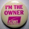 I.246 INSIGNA AVIATIE LINII AERIENE I&#039;M THE OWNER KIWI INTERNATIONAL AIR LINES