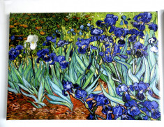 Reproducerea picturii Vincent van Gogh Irises textura pictata manual 50x70cm foto