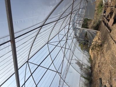 Solar Grădină foto