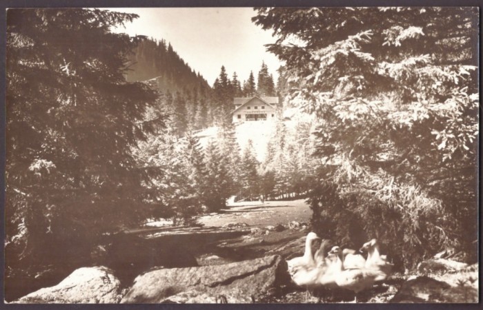 5512 - SIBIU Cabana BALEA Cascada, Sectia SKV - old postcard real Photo - unused