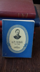 A.P. CEHOV 1860-1904 - V. ERMILOV foto