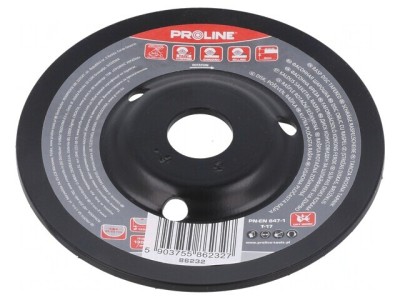 &amp;quot;Grinding Wheel 125mm with Rasp&amp;quot; foto
