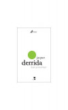 Despre gramatologie - Paperback brosat - Jacques Derrida - Tact