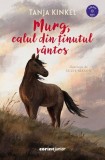 Murg calul din tinutul vantos, Corint