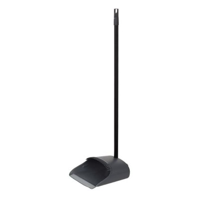 Faras cu Coada Negra Gri &amp;amp; Margine Dintata 78cm foto