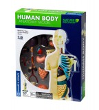 Kit STEM - Anatomia corpului uman