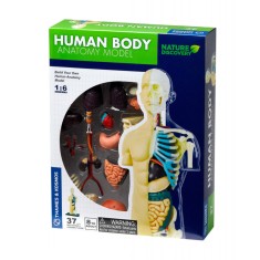 Kit STEM - Anatomia corpului uman