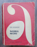 Ion Ochinciuc - Ingerul Negru
