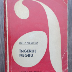 Ion Ochinciuc - Ingerul Negru