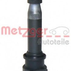 Bobina inductie FIAT PUNTO (188) (1999 - 2016) METZGER 0880048