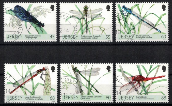 JERSEY 2013 - Insecte, libelule / serie completa