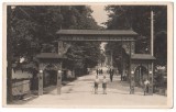 SV * Borsec * Intrarea in Statiune / Aleea Principala * 1922, Circulata, Fotografie