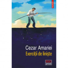 Exercitii de liniste, Cezar Amariei