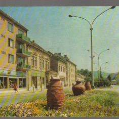 CPIB 17112 CARTE POSTALA - TARNAVENI. STRADA REPUBLICII