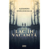 Lac in vacanta - Alexandru Draganoaia