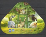 URUGUAY 2024 FAUNA ANIMALE SI PASARI II