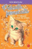 Pisicuța fermecată - Paperback brosat - Sue Bentley - Litera