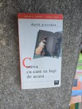 Cineva cu care să fugi de acasă - David Grossman, Roman, Editura Niculescu, 2006, brosata, 379 pagini