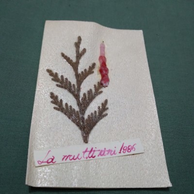 CARTE POSTALA FELICITARE CIRCULATA foto