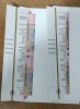 Lot 2 Bancnote 10 Lei 2024 BNR, UNC, Serii Consecutive - Nescoase din Plic