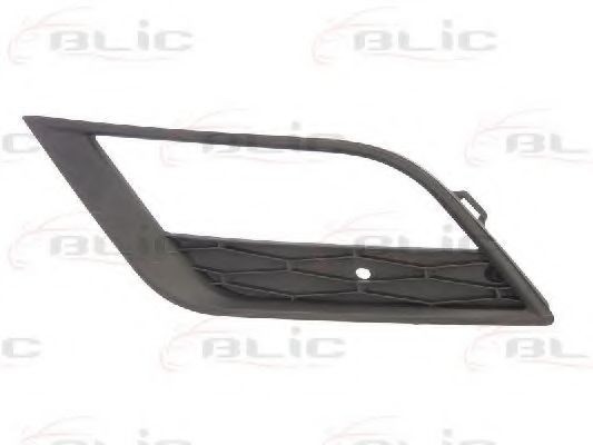 Grila ventilatie, bara protectie SEAT IBIZA V (6J5, 6P1) (2008 - 2016) BLIC 6502-07-6621915P