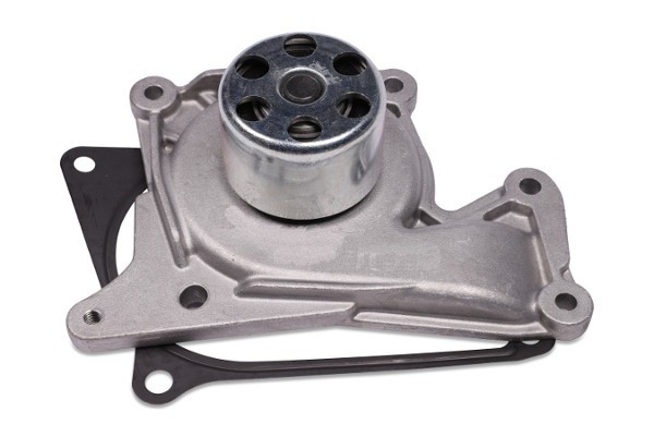 HEPU P965 Pompă de apă, răcire motor