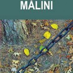 Malini - Eduard Dorneanu