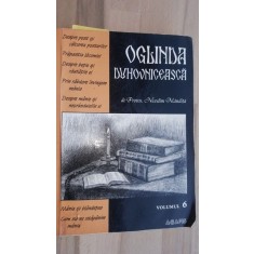 Oglinda duhovniceasca vol 6 - Nicodim Mandita