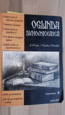 Oglinda duhovniceasca vol 6 - Nicodim Mandita foto
