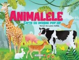 Cumpara ieftin Animalele. Carte cu imagini pop-up/Luana Schidu