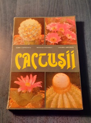 Cactusii Sorin Copaceanu foto
