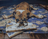 Pictura pe numere &quot;Bulldog news&quot;, Animale, Acrilic, Altul