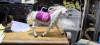 Cal Interactiv Mattel, Barbie Mysteries #A8012han